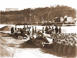 Oran 010